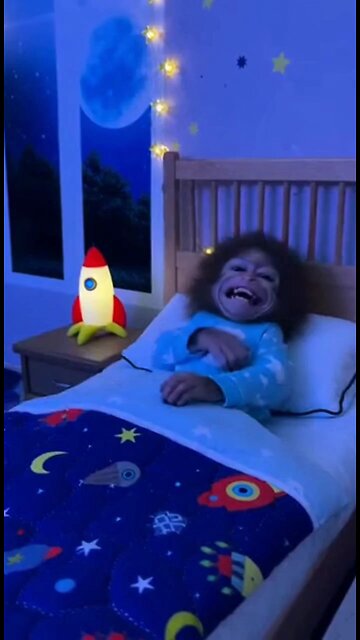 Baby Monkey 🐵 Laughing [SORA]