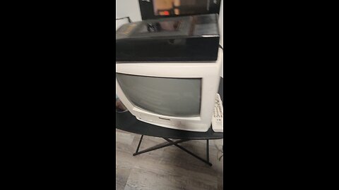 opening to showgirls