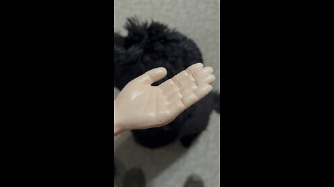 Wednesday whiskers with SPH and Norman. #funnyvideos #funny #tinyhands #dogs #dogsofinstagram