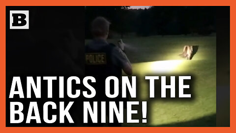 Let Him Play Through! Runaway Pony Tears Through Golf Course