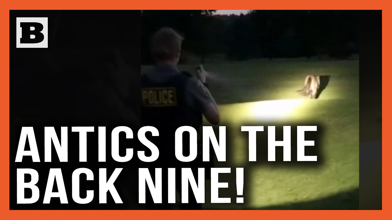 Let Him Play Through! Runaway Pony Tears Through Golf Course