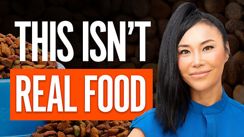 Why Kibble Is Failing Our Pets | A Regenerative Vet Explains