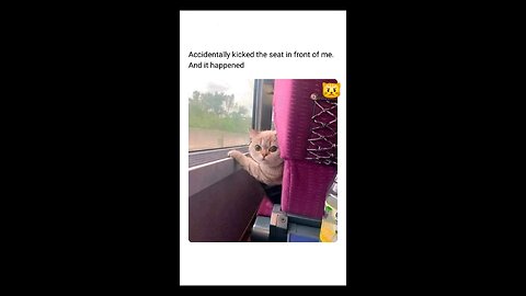 “When Life Gives You Funny Mood | Ultimate Meme Shorts” #FunnyMemes #MemeShorts #ViralVideo