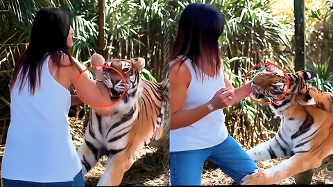 Damn Nature You Scary 😱 | Rare & Scary Animal Encounters That’ll Make You Jump