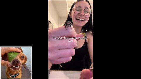 Funny videos compilation 72