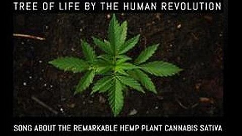 [Feb 10, 2020] Tree of Life by The Human Revolution - Song about the remarkable Hemp Plant Cannabis sativa [williamgenske]