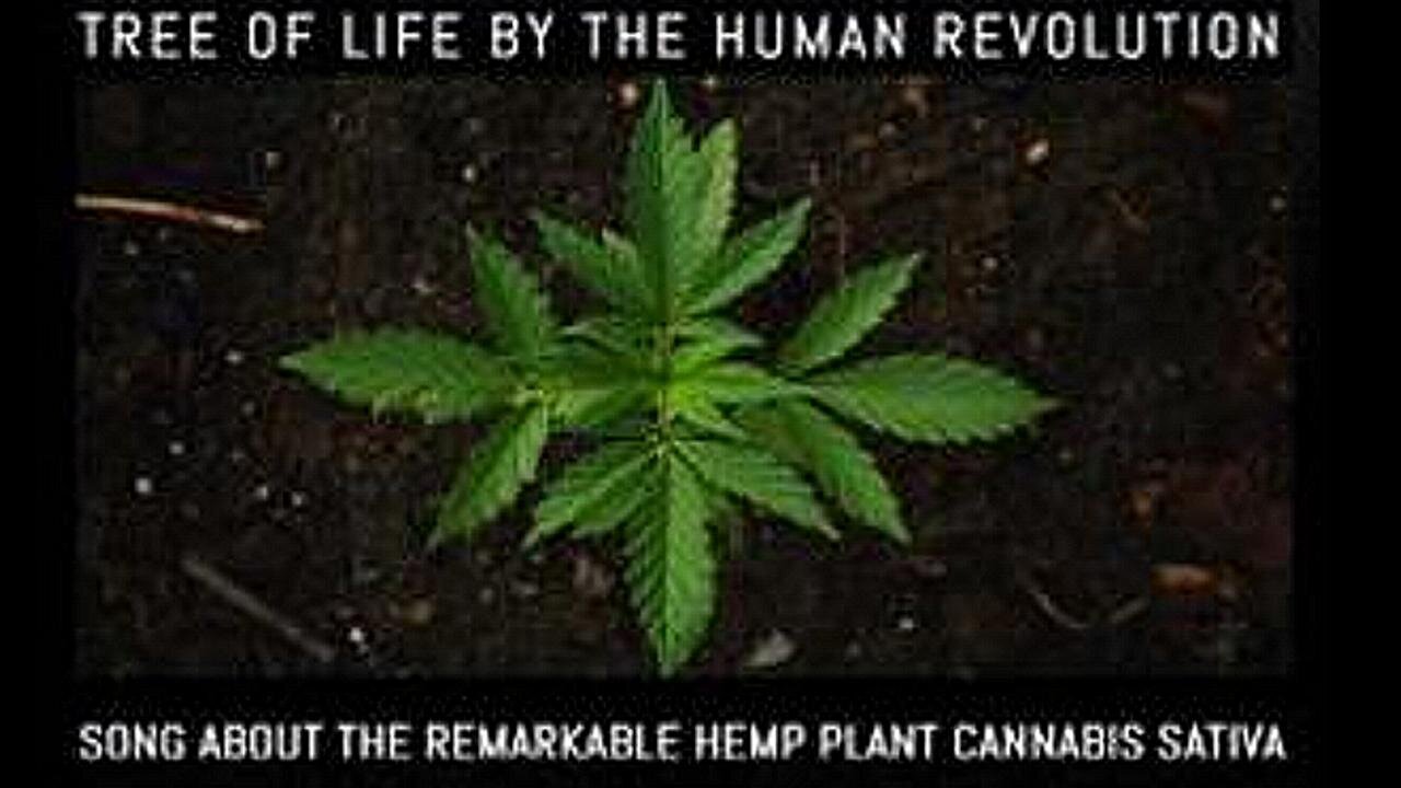 [Feb 10, 2020] Tree of Life by The Human Revolution - Song about the remarkable Hemp Plant Cannabis sativa [williamgenske]