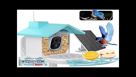 Smart Bird Feeder with Camera for Outdoors Squirrel Proof Bird Watching Solar Review