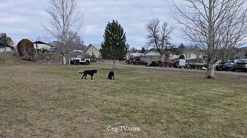 Graham Family Farm: 11:30 AM January 24th 2025