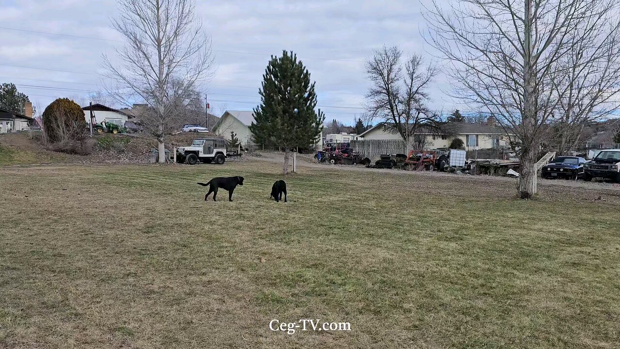 Graham Family Farm: 11:30 AM January 24th 2025