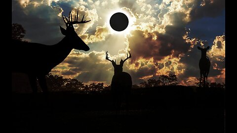 Rahu & Orion (no, this is still NOT my Rahu Ketu video)