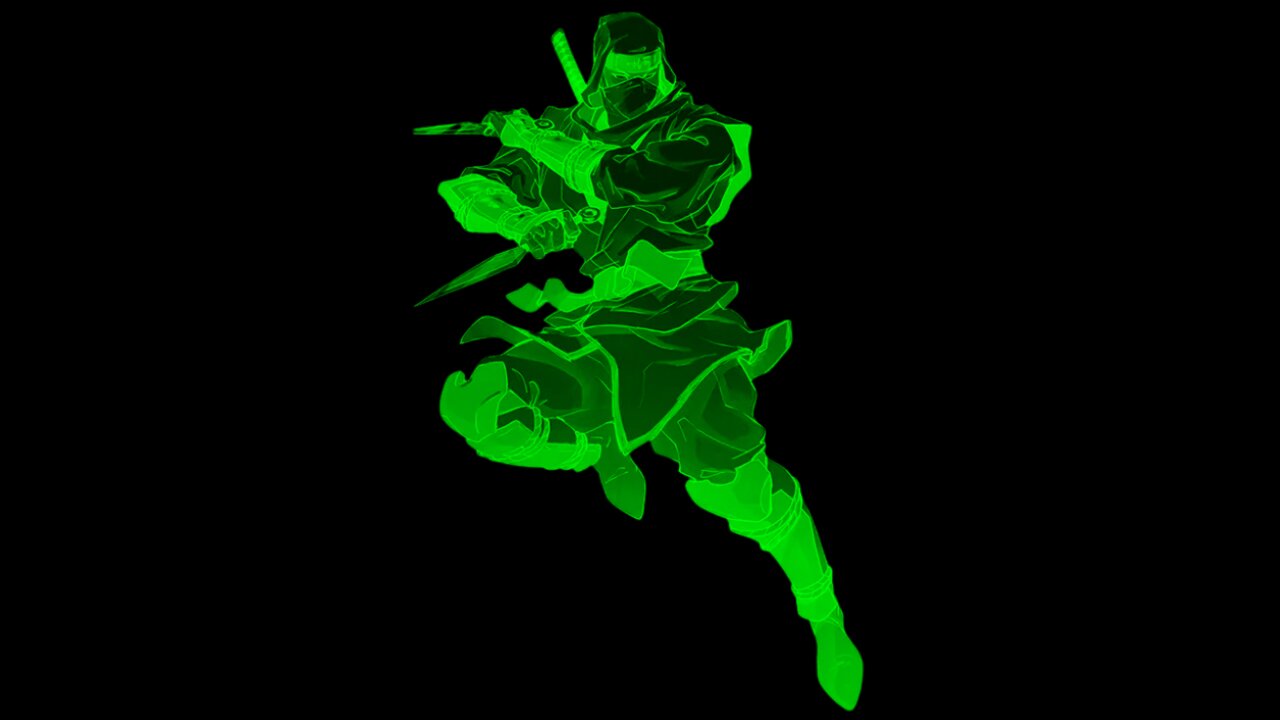 Did Someone CALL a NINJA