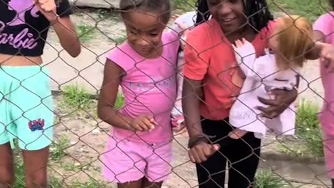 American Bully Dog and Her Neighborhood Friends