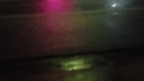 To Spanky You Are Not My Family ..