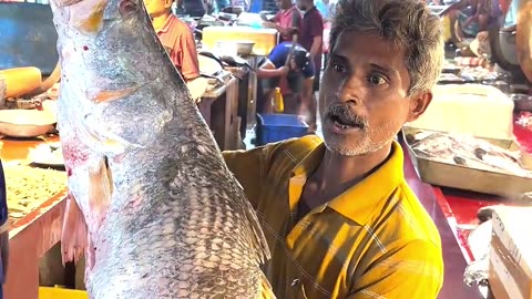 King Size, Biggest Asian Seabass Fish #fishcutting #viralvideo #shortsreels