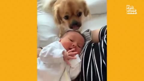 Baby and puppies