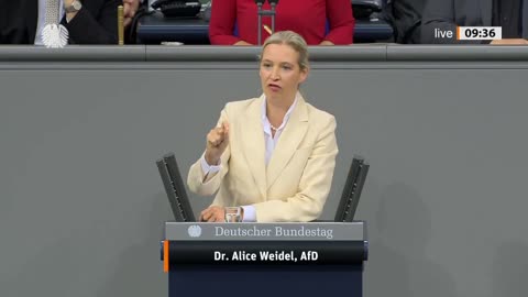 💥ALICE WEIDEL: REDE 16.10.2025💥