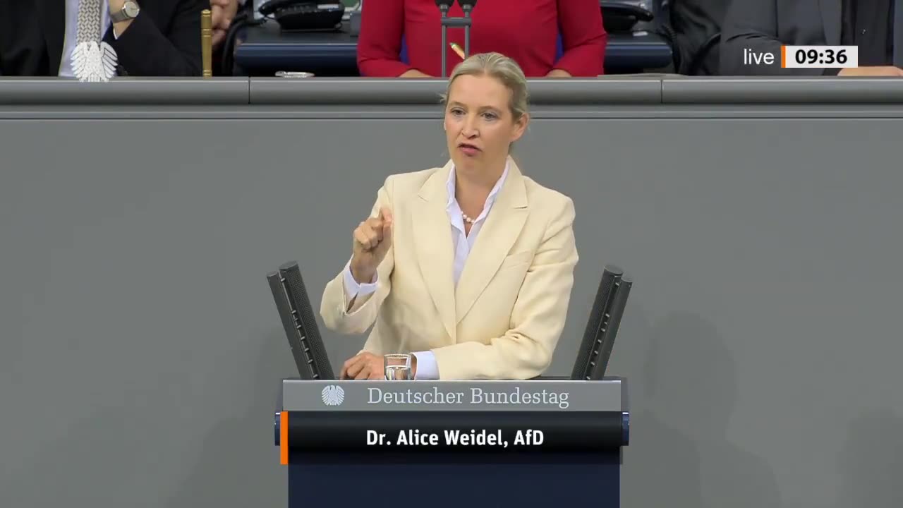 💥ALICE WEIDEL: REDE 16.10.2025💥