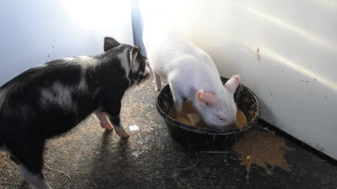 Becky and Morganas first breakfast