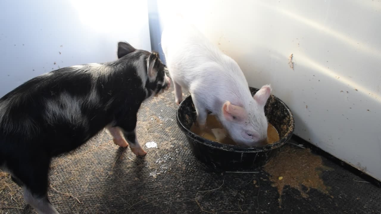 Becky and Morganas first breakfast