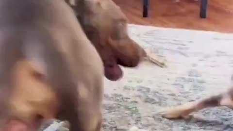 Kids sometimes..😅