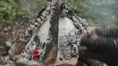 Cooking Whole Chicken in Salt and Fire! Rustic Campfire Recipe