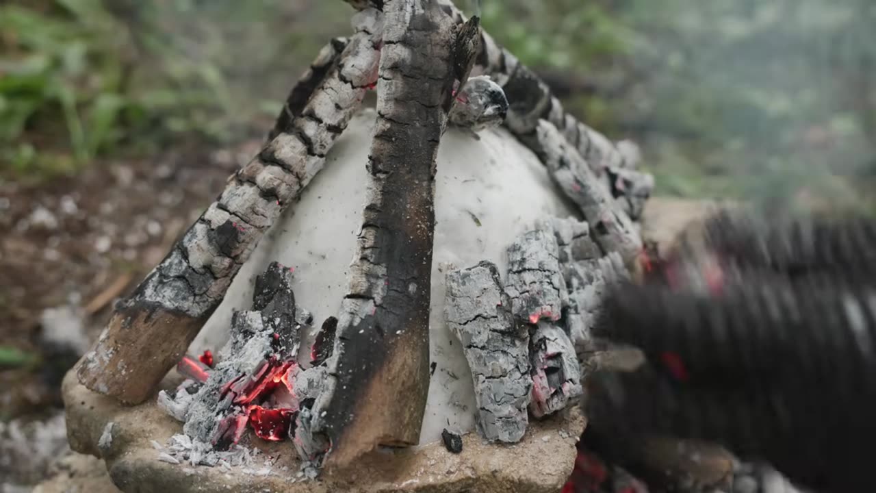 Cooking Whole Chicken in Salt and Fire! Rustic Campfire Recipe