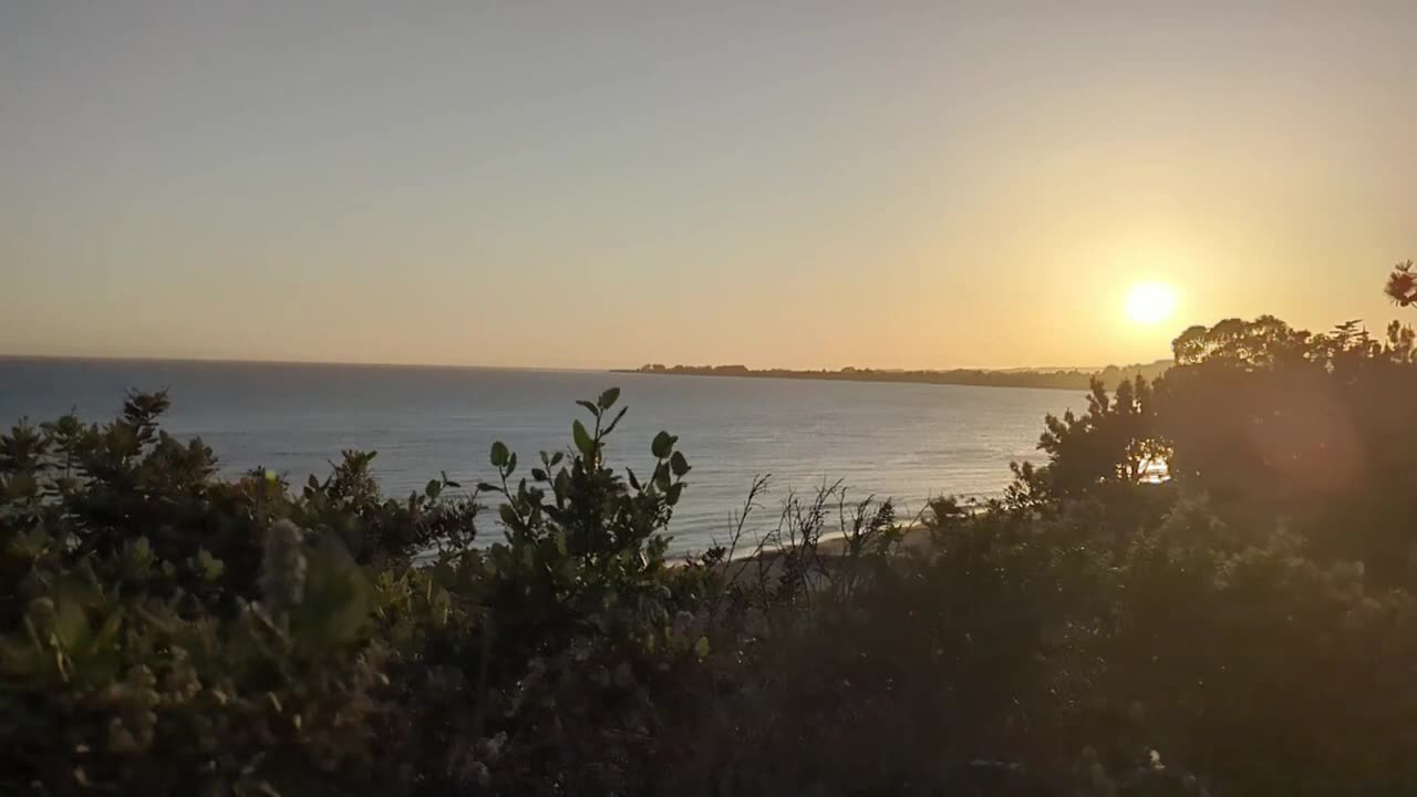 Sunset Trees Water