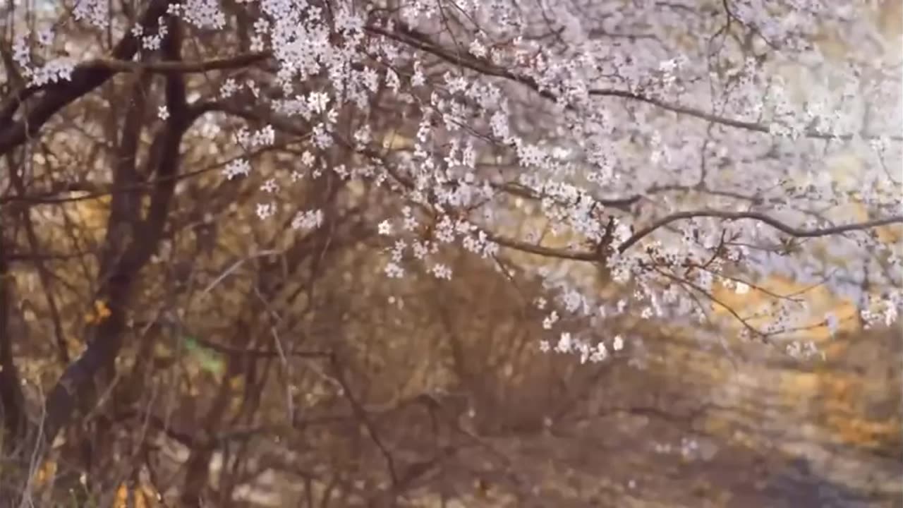 #EricDubay #white - Arrogant #FlatEarther #আহোম Land