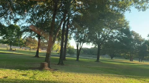 Thought I’d Just Mow… Ended Up Rebuilding a Fence!