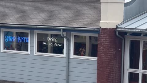 Bear on a Bubba Gump in Gatlinburg