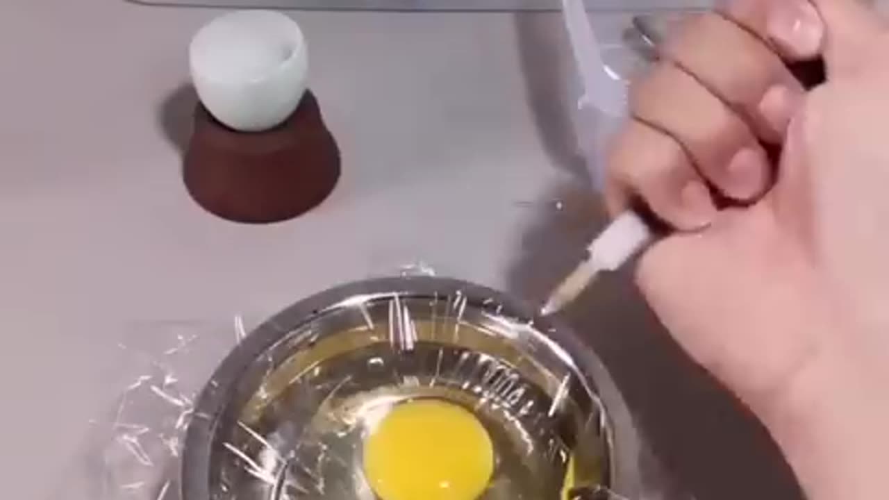 How A Chick Born From A Egg 🐣 - Interesting Video - 😱