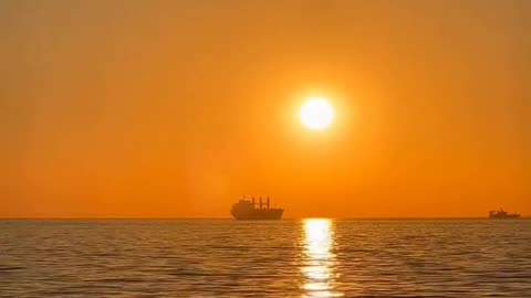 Daily Horoscope | Leo 🌟