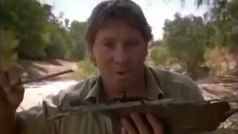 "The Crocodile Hunter: Collision Course" Starring Steve Irwin