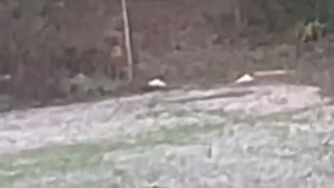 😨👻 You Won't Believe What They Caught on Camera! Shadow Figure | TheHauntingHour