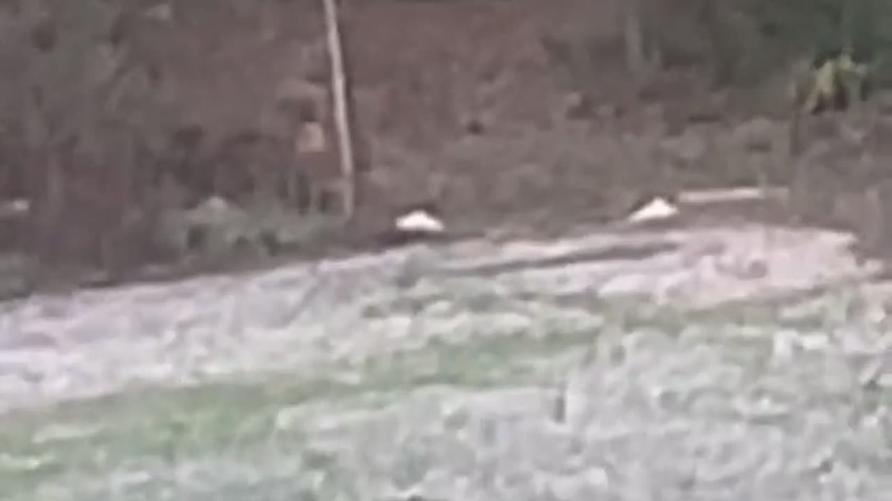 😨👻 You Won't Believe What They Caught on Camera! Shadow Figure | TheHauntingHour