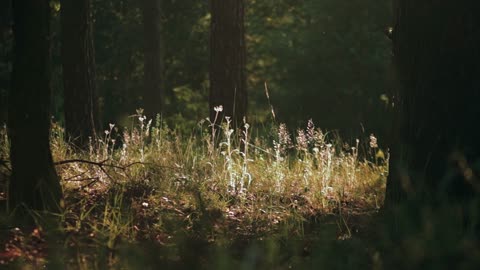 "If you want to lift yourself up, lift up someone else."