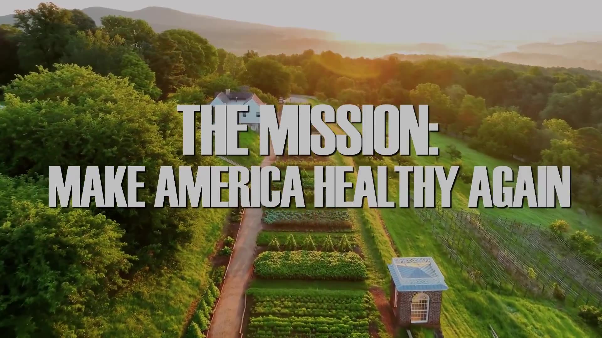 🚨The MISSION: MAKE AMERICA HEALTHY AGAIN · Steve Cortes