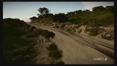 WRC9 (Ps5) Race17