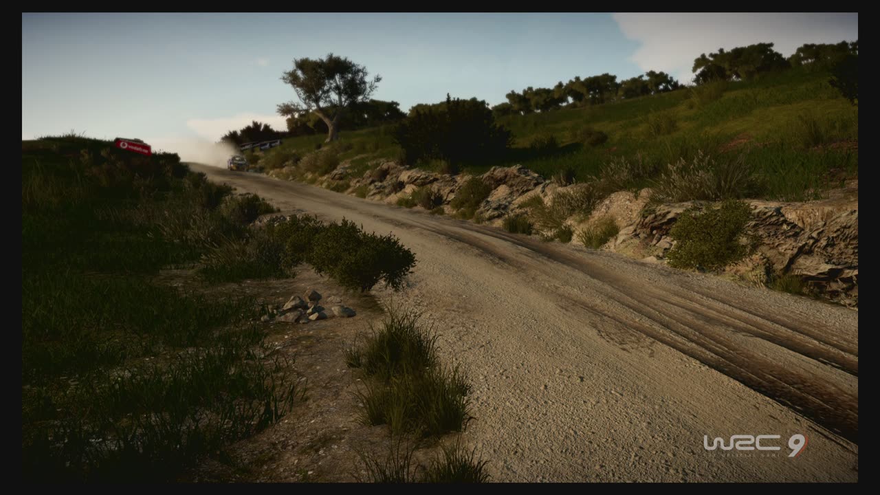 WRC9 (Ps5) Race17