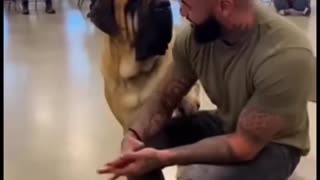 DOGs 🐶 🐩🐕 CHOOSE Their HUMANs ✨