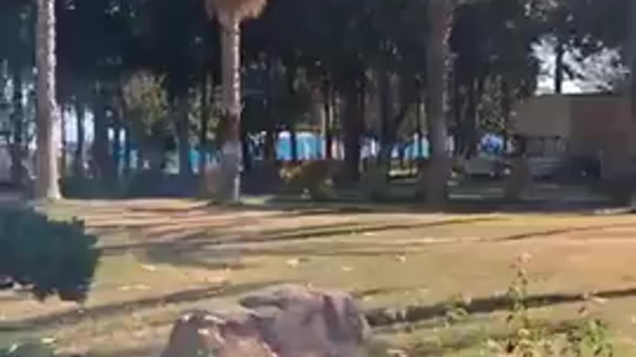 walking down a peaceful street