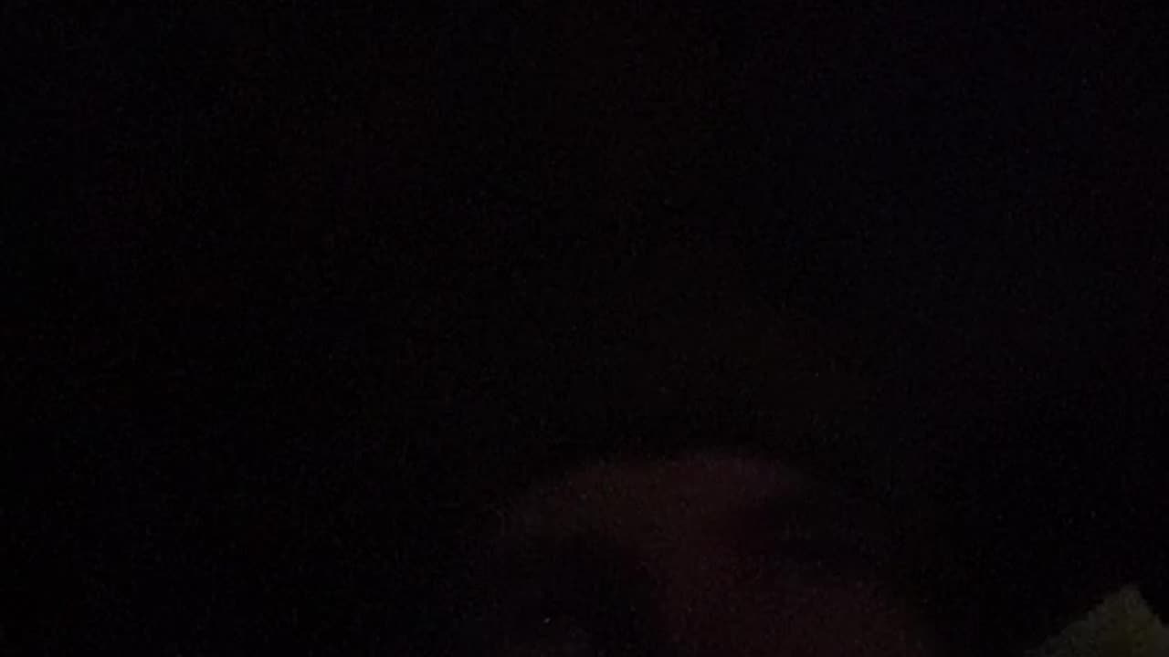 Trump why don’t you cook these bastards