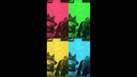 no kiss