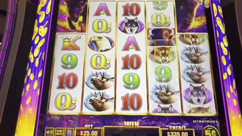 Buffalo Chief - Big Win! Over 50 Free Spins! Up to $50 per spin, maximum bets!