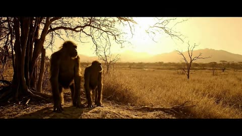 I MET OUR OLDEST ANCESTORS (3 Million Years Ago!)