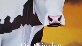 Milking the cow