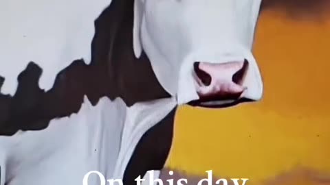 Milking the cow