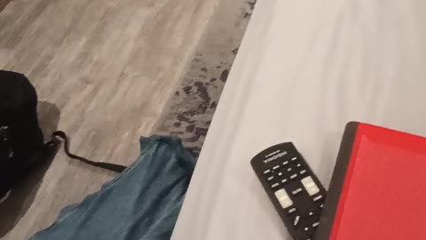 Audiobook recording part 5, chapters 25-30