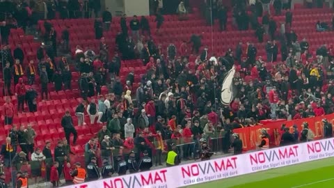 tifozet e partizanit